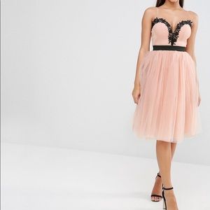 Rare London Lace Top Tulle turu Dress